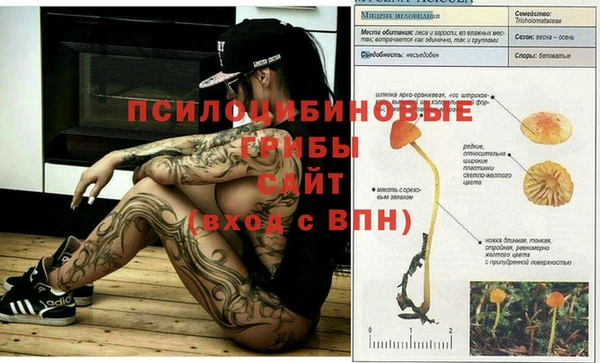 амф Арсеньев