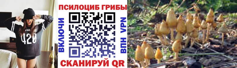 даркнет сайт Шумиха Галлюциногенные грибы Cubensis